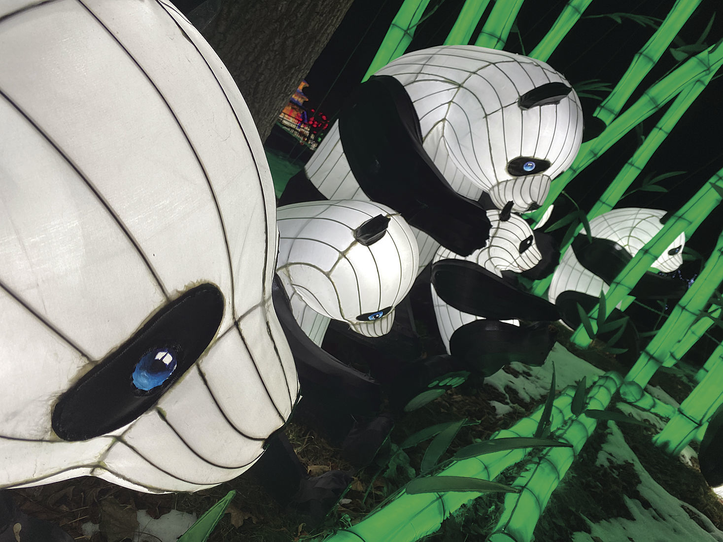 Lantern Festival 1